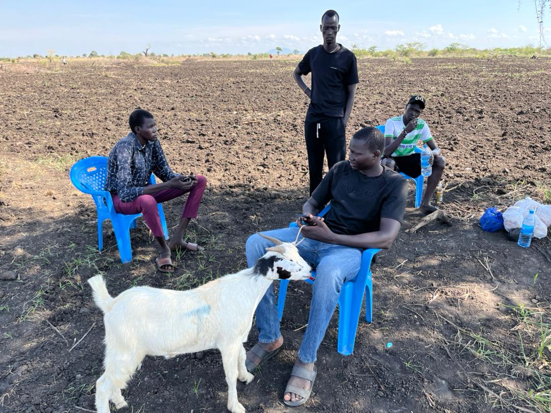 Agricultural Project